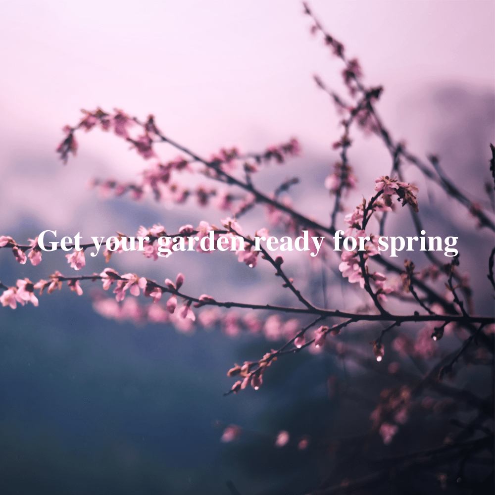 Tips and tricks to get your garden prepared for Spring.