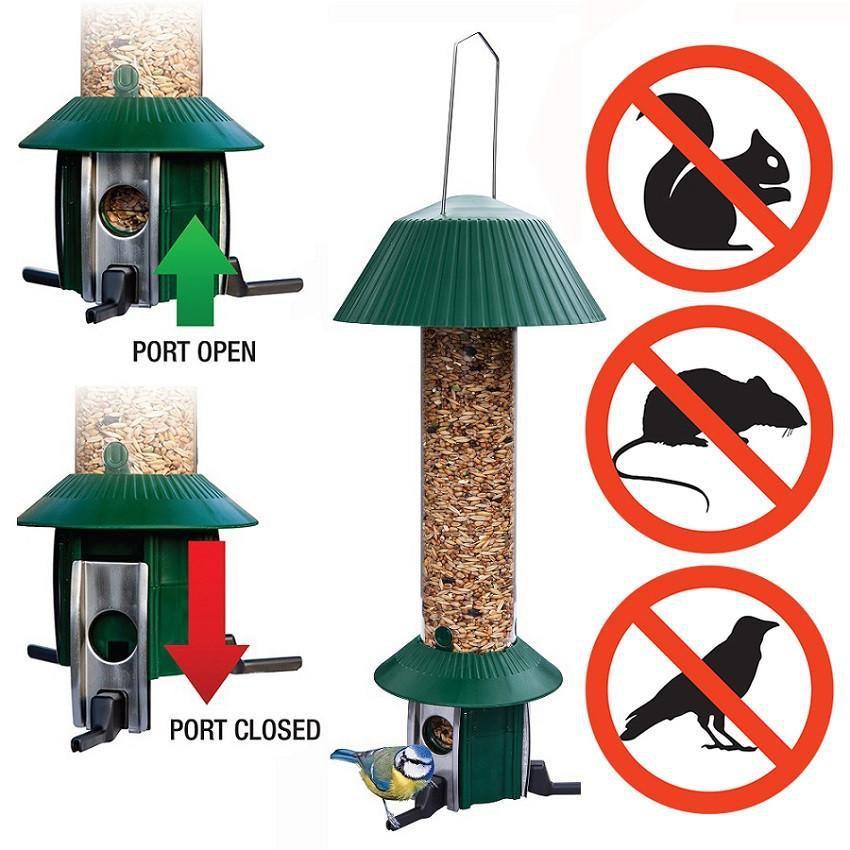 Deterring Squirrels – Red Native Squirrels and Squirrel Proof Bird feeders