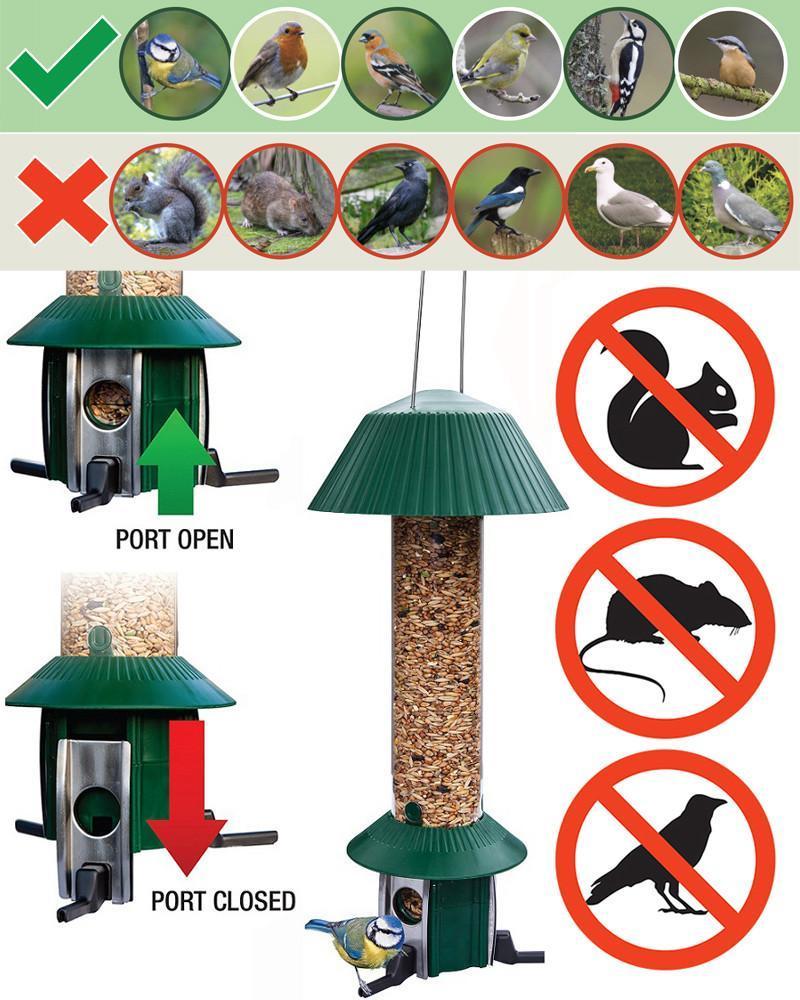Best Squirrel Proof Bird Feeders