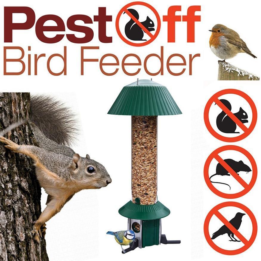 Five of the Best Winter Bird Foods