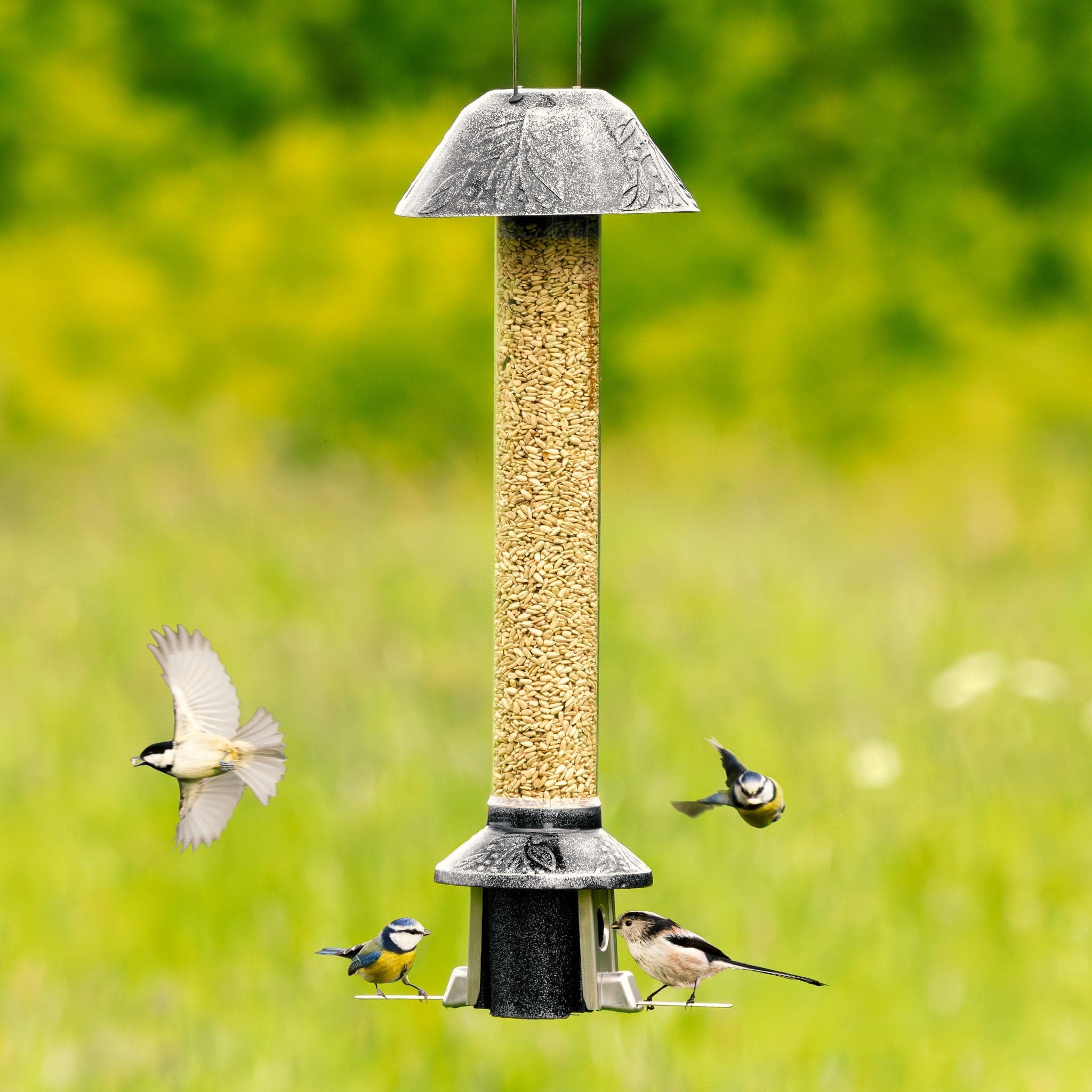 Roamwild PestOff Squirrel Proof Bird Feeder 2.0 | Antique Platinum