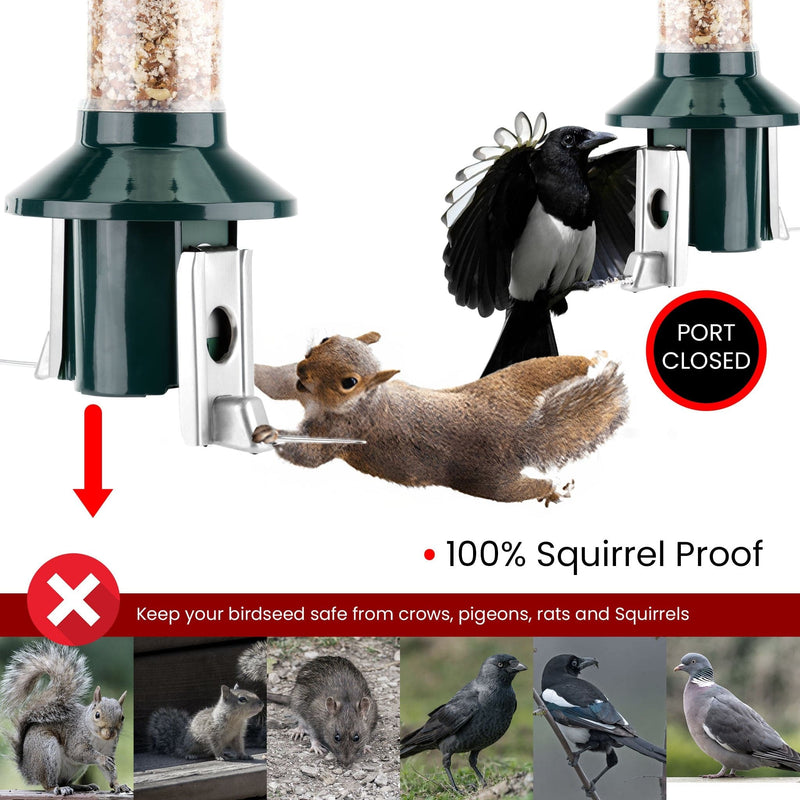 Roamwild PestOff Squirrel Proof Bird Feeder 2.0 For Peanut/Mealworms