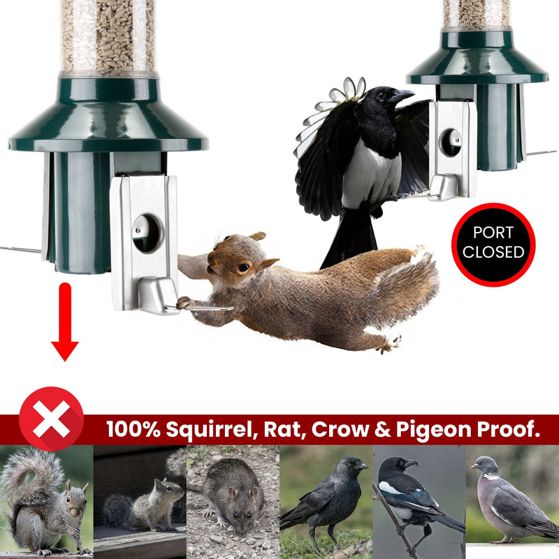Roamwild PestOff Squirrel Proof Bird Feeder 2.0