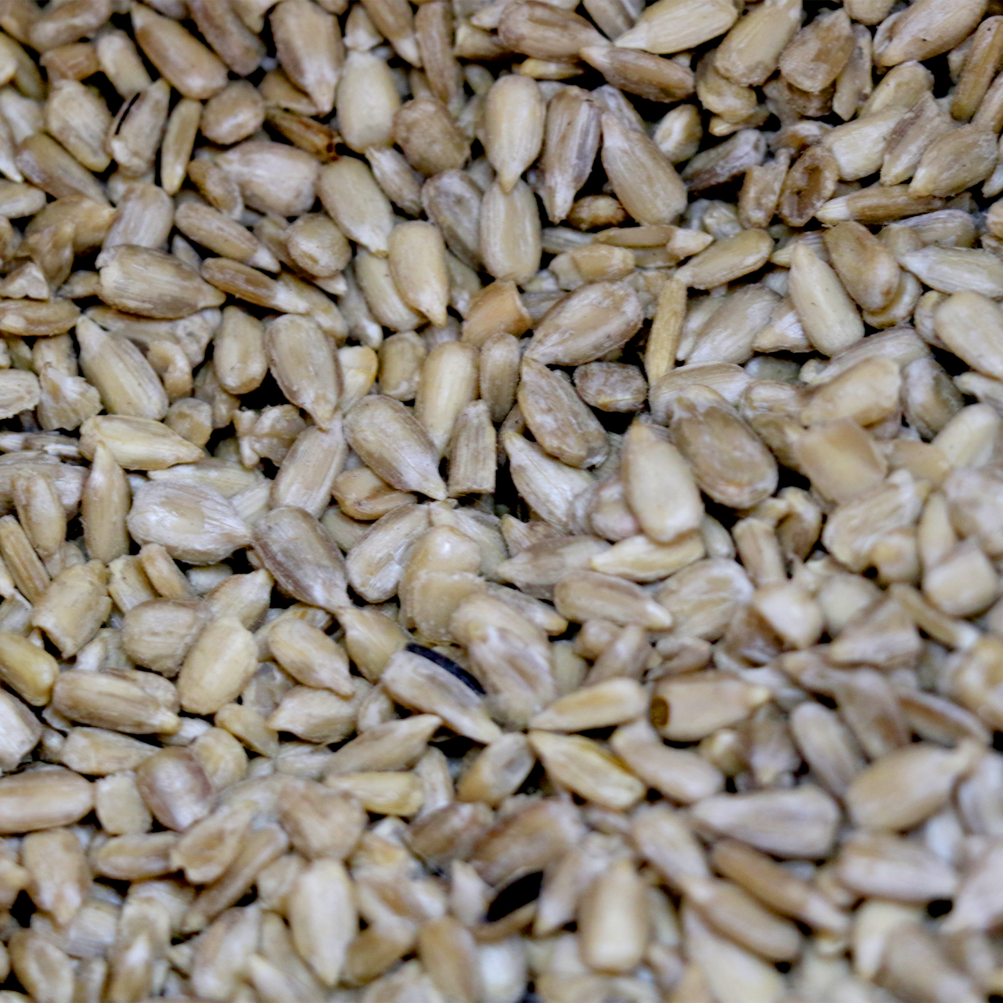 Premium Sunflower Hearts (12.75kg)