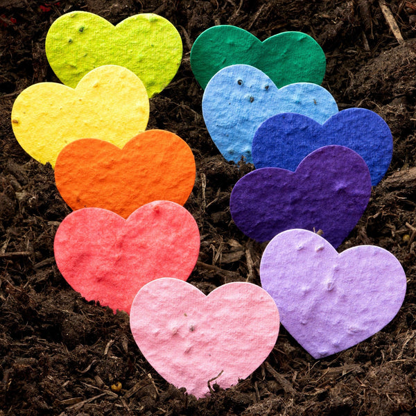Roamwild Seeded Paper Shapes - Pack Of 100 (Heart)