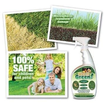 Get it Green - Instant Grass Spot/Shrub Repair