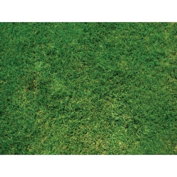 Get it Green - Instant Grass Spot/Shrub Repair