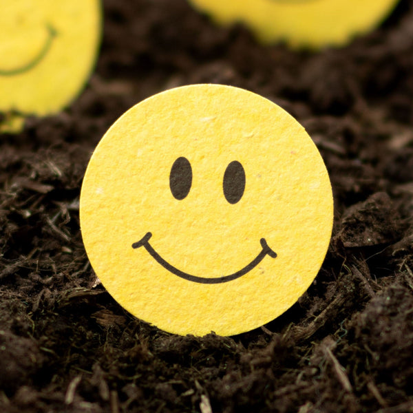 Roamwild Seeded Paper Shapes - Pack Of 100 (Smiley Face)