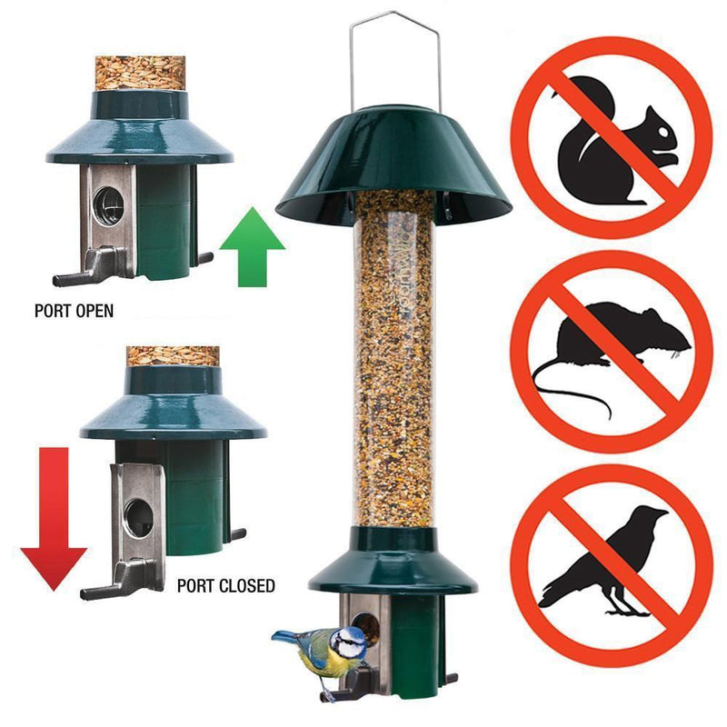 Why We Love The PestOff Bird Feeder (And You Should Too)