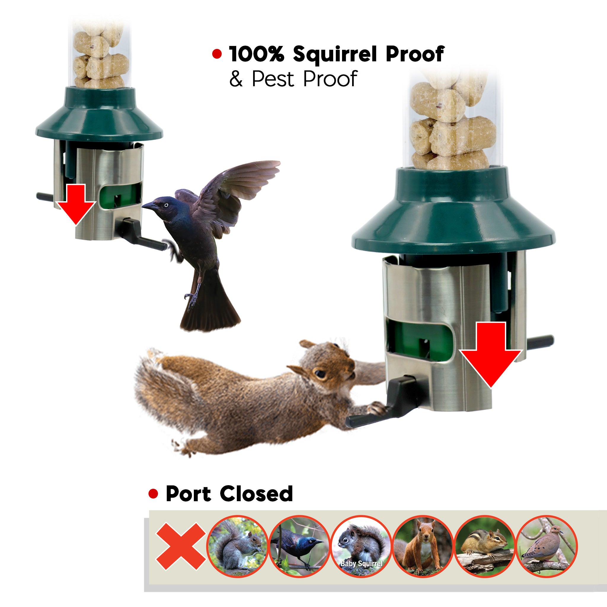 Roamwild PestOff Bird Feeder