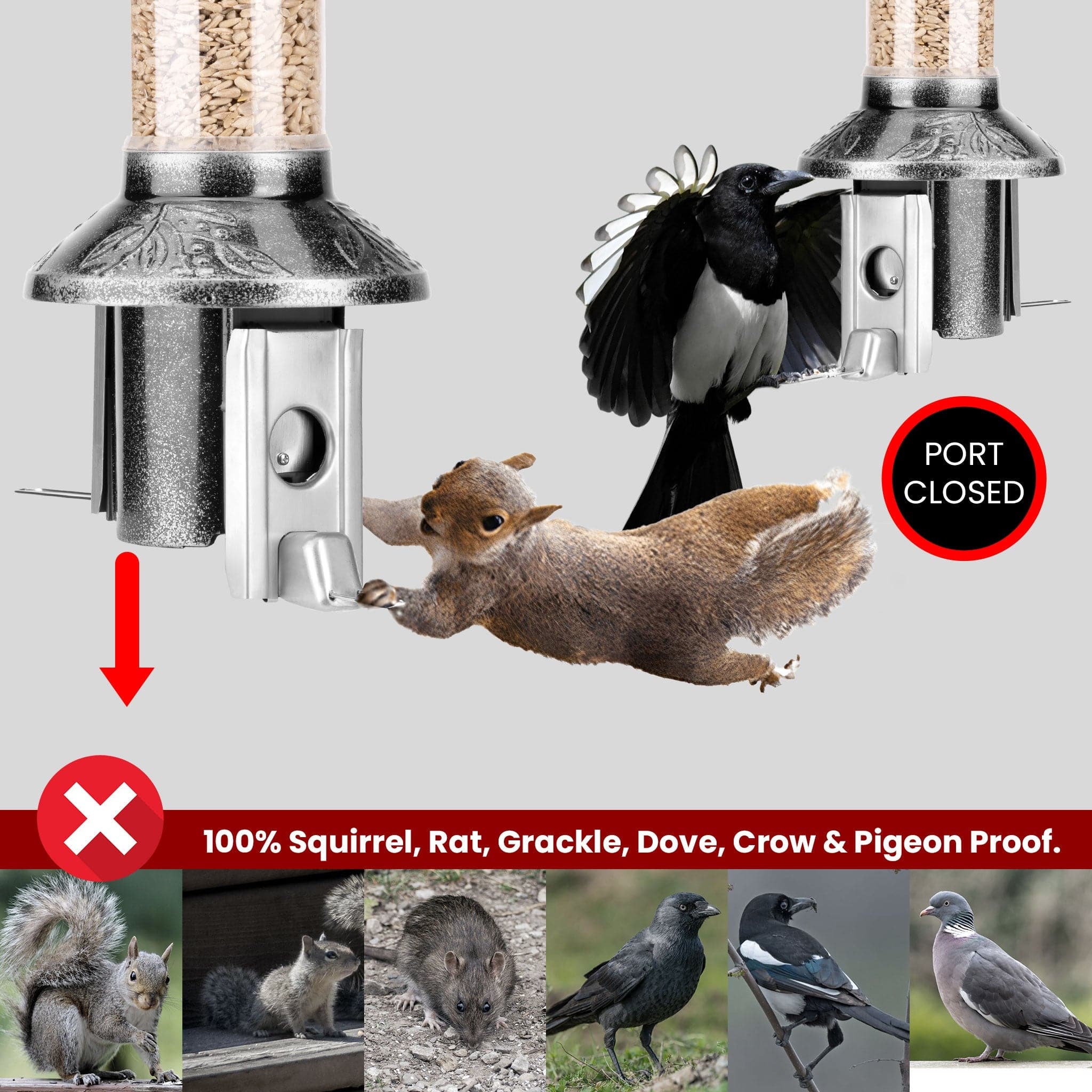 Roamwild PestOff Squirrel Proof Bird Feeder 2.0 | Antique Platinum