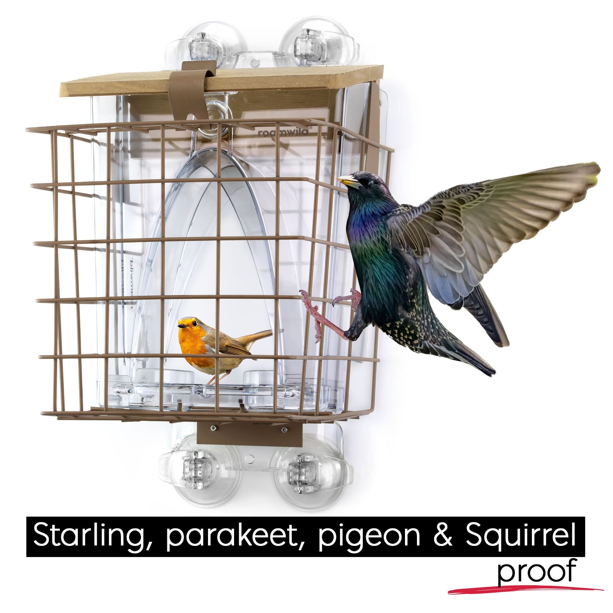 Roamwild Arch Window Feeder: Squirrel Proof Cage Accessory