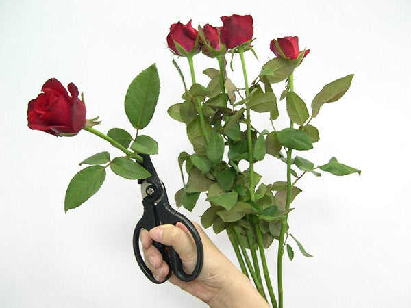 Cut & Hold - Rose Gatherer Pruner Scissors Secateurs - Black