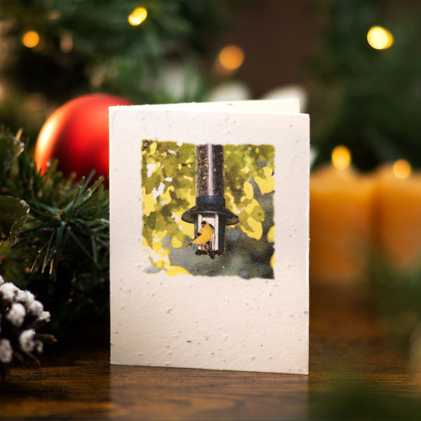 Plantable Seeded Greeting Card - American Goldfinch