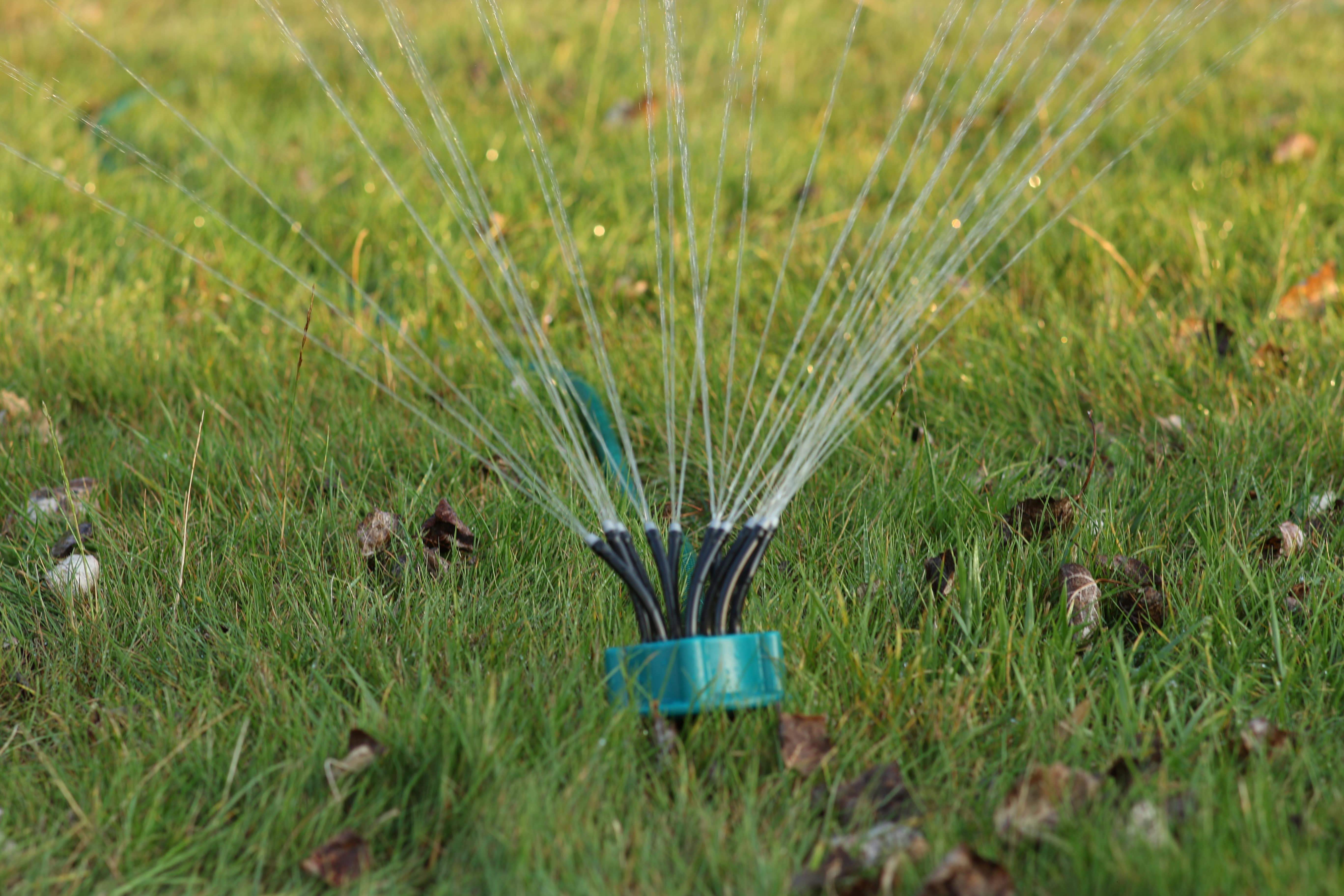 Noodlehead Flexible Garden Sprinkler