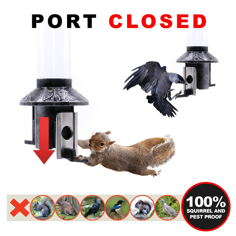 Roamwild PestOff Squirrel Proof Bird Feeder | Exclusive Platinum