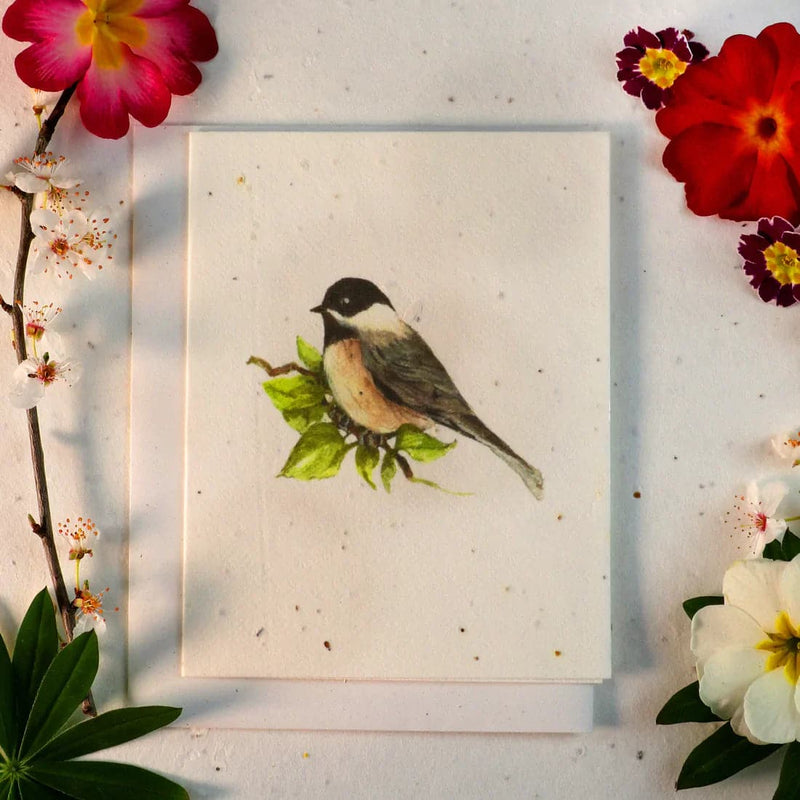 Seeded Cards That Grow Into Flowers (Chickadee)