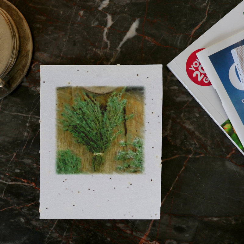 Plantable Seeded Greeting Card - With Herb Seed