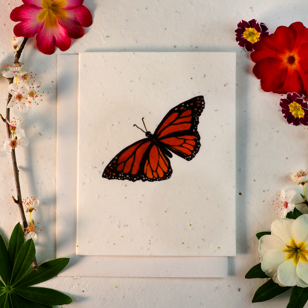 Seeded Cards That Grow Into Flowers (Butterfly)