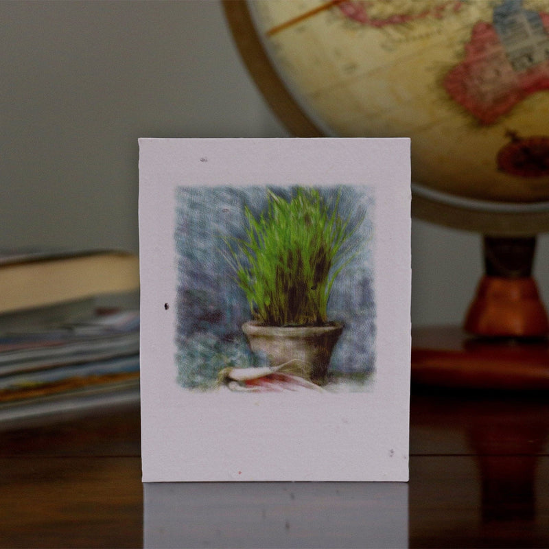 Plantable Seeded Greeting Card - With Herb Seed