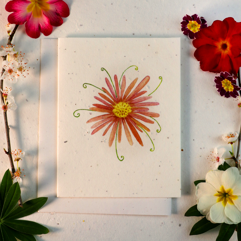Seeded Cards That Grow Into Flowers (Whimsy Flower)
