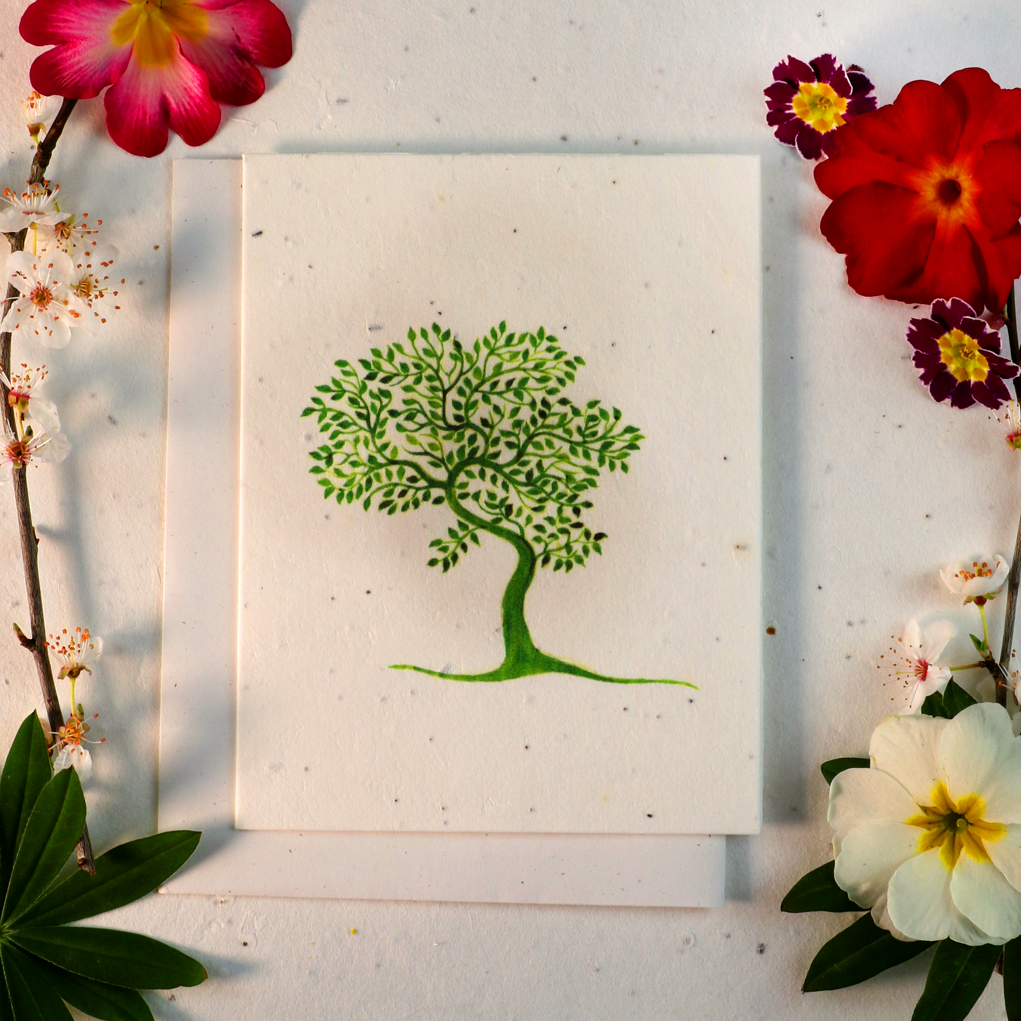 Tree Growing Card Seeded Cards That Grow Into Flowers (Tree of Life)