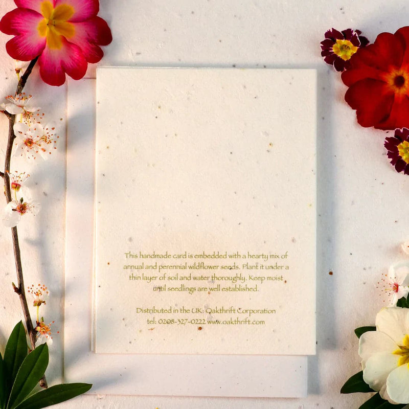 Seeded Cards That Grow Into Flowers (Topiary Tree)
