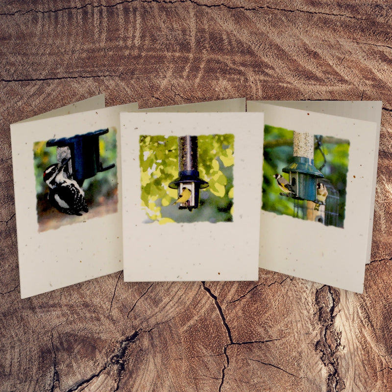 Roamwild Seeded Greeting Cards | The Cards That Grow Into Flowers | 3 Pack Bundle
