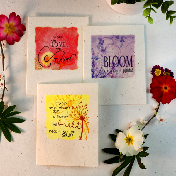 Seeded Cards That Grow Into Flowers (3 Pack)