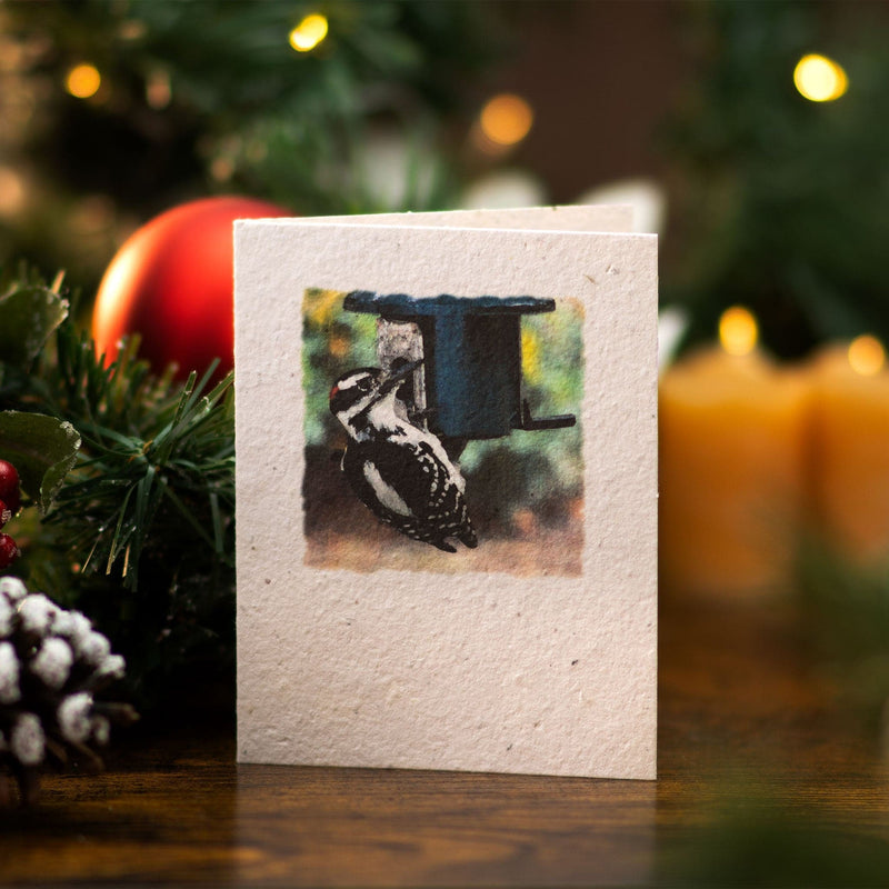 Plantable Seeded Greeting Card - Woodpecker