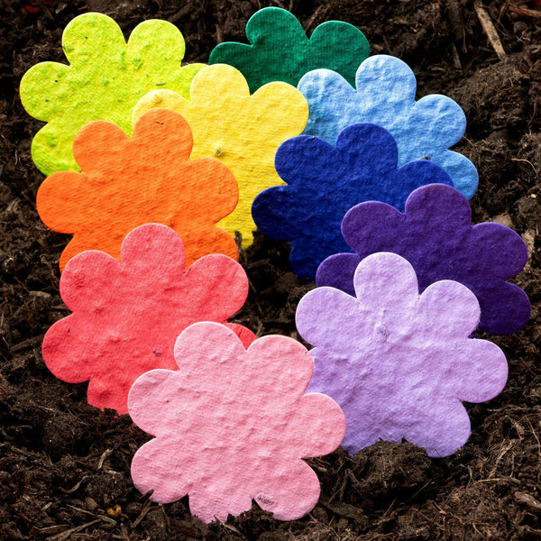Roamwild Seeded Paper Shapes - Pack Of 100 (Flower)