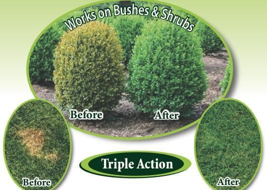 Get it Green - Instant Grass Spot/Shrub Repair