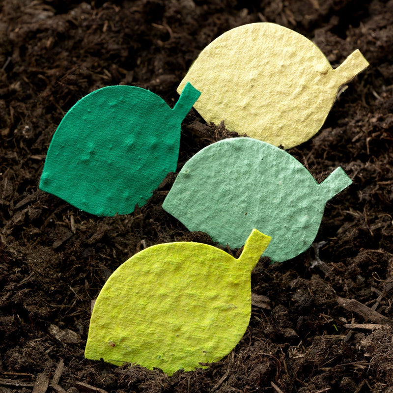 Roamwild Seeded Paper Shapes - Pack Of 100 (Beech Leaf)