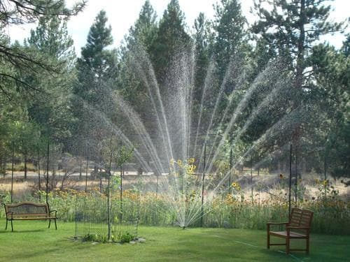 sprinkler with large watering range