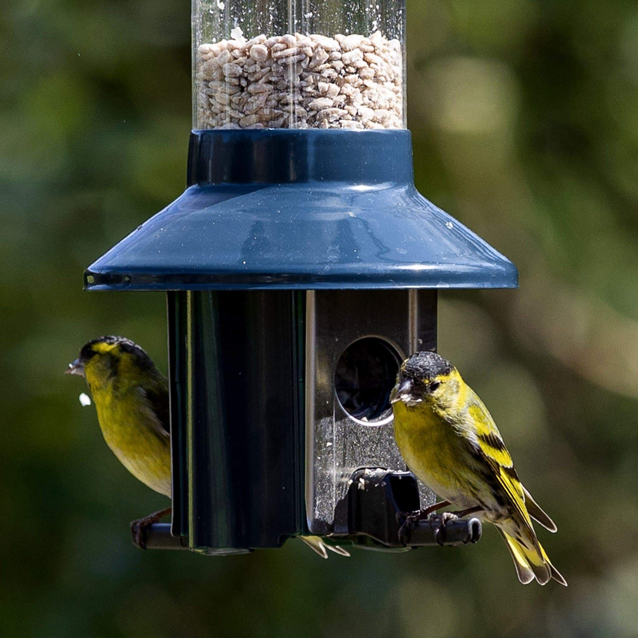 Roamwild PestOff Bird Feeder