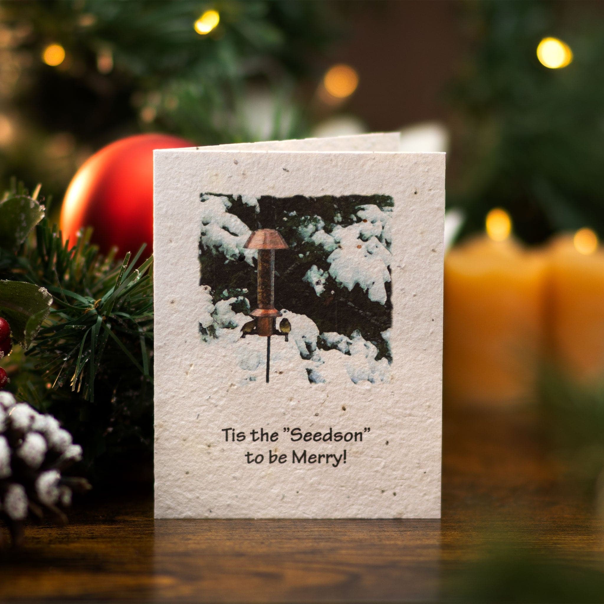 Plantable Seeded Christmas Greeting Card - "Tis the Seedson"